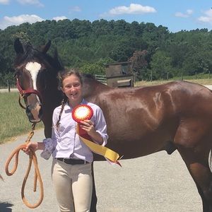 LOOKING FOR HORSE SUPPLIES,TACK AND RIDING CLOTHES